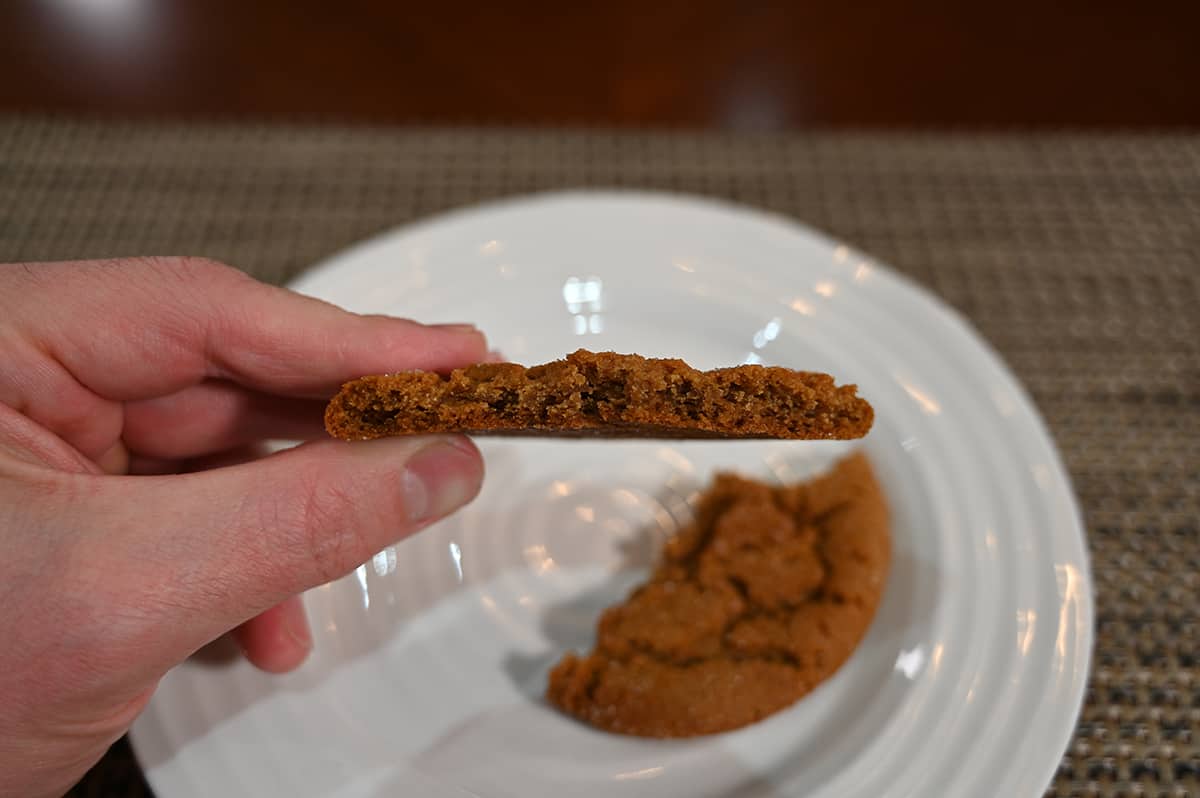 Side view image of a hand holding a ginger cookie with a few bites taken out of it showing the inside of the cookie.