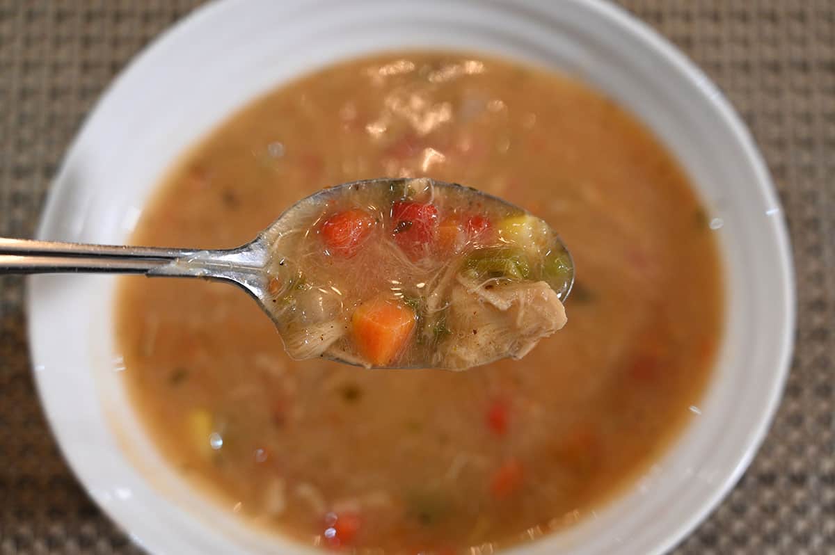 Closeup image of a spoonful of soup with the bowl of soup in the background.