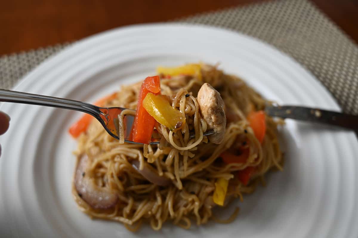 Closeup image of a fork near the camera with chicken chow mein on the fork.