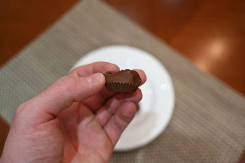 Image of a hand holding one chocolate covered macadamia nut.