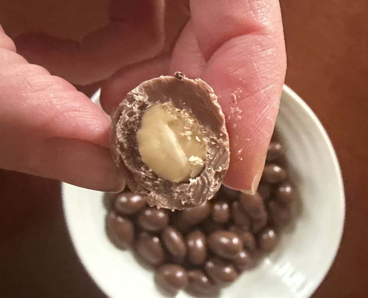 Closeup image of a hand holding a chocolate covered almond close to the camera hovering over a bowl of chocolate covered almonds.