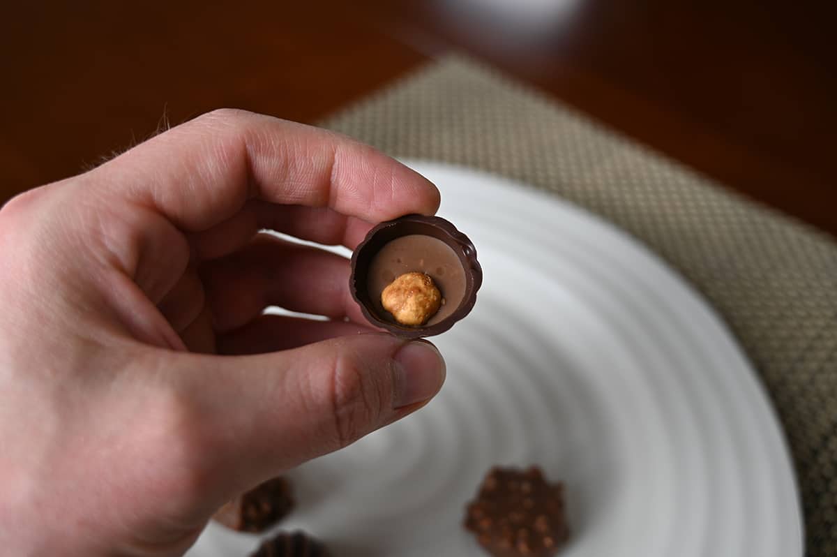 Image of a hand holding one hazelnut gianduja chocolate close to the camera with a plate of chocolates in the background.