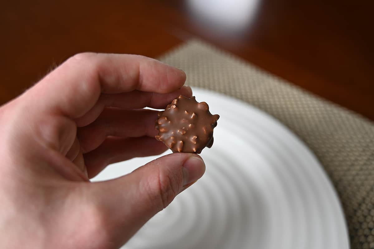 Image of a hand holding one hazelnut cluster chocolate close to the camera with a plate of chocolates in the background.