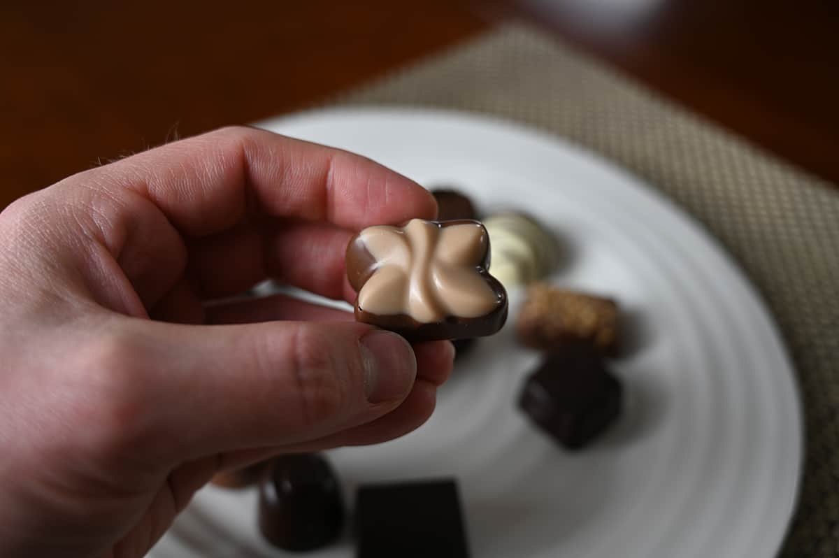 Image of a hand holding a jane chocolate close to the camera. 