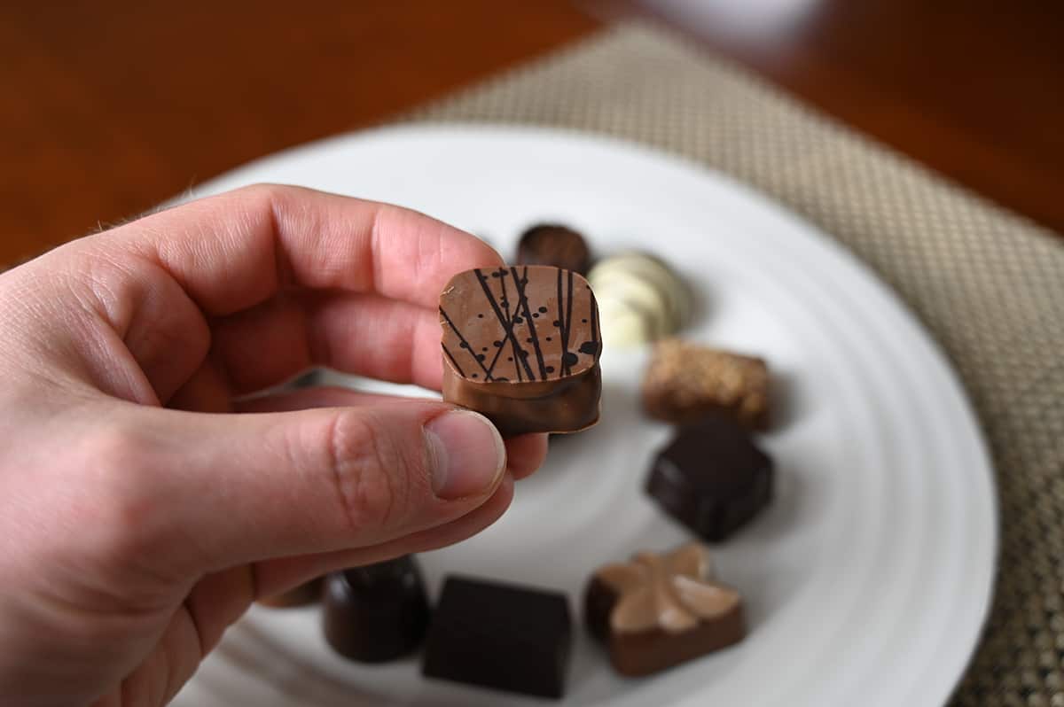 Image of a hand holding a harmony chocolate close to the camera. 