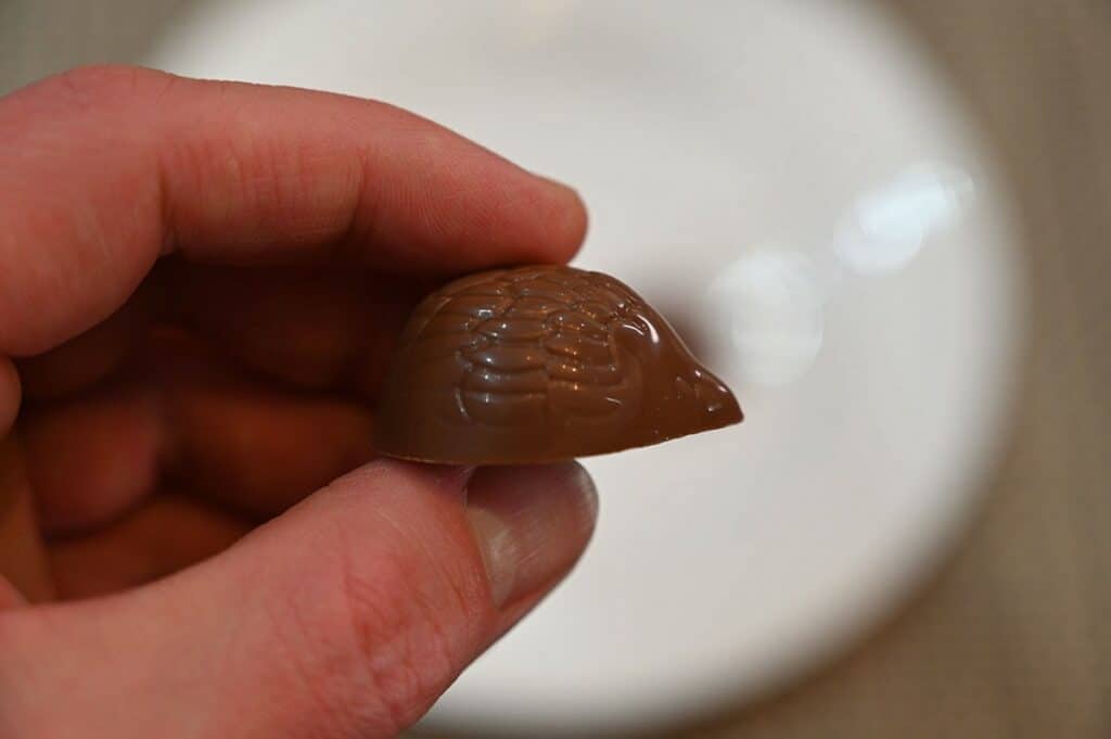 Closeup image of the Costco CHOCXO mini hedgehog.