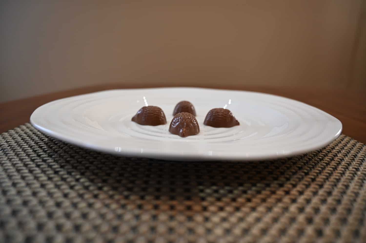 Costco CHOCXO Mini Hedgehogs Review Costcuisine