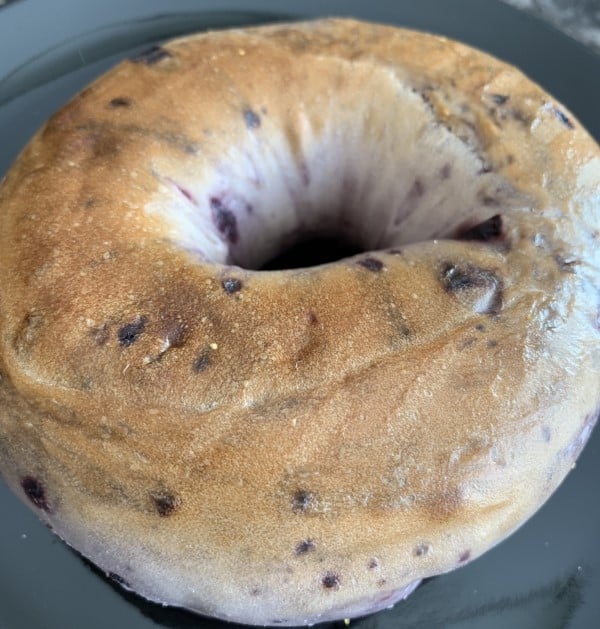 Are Blueberry Bagels Bad For Dogs