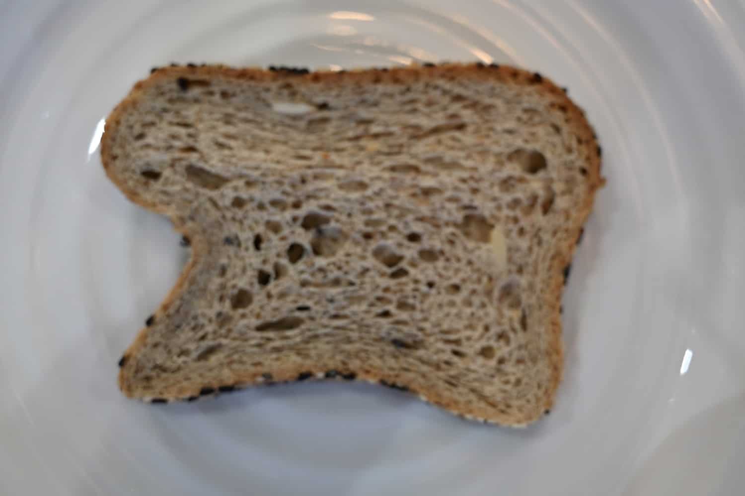 Image of the Costco Carbonaut Low Carb Multigrain bread on a plate, not toasted.