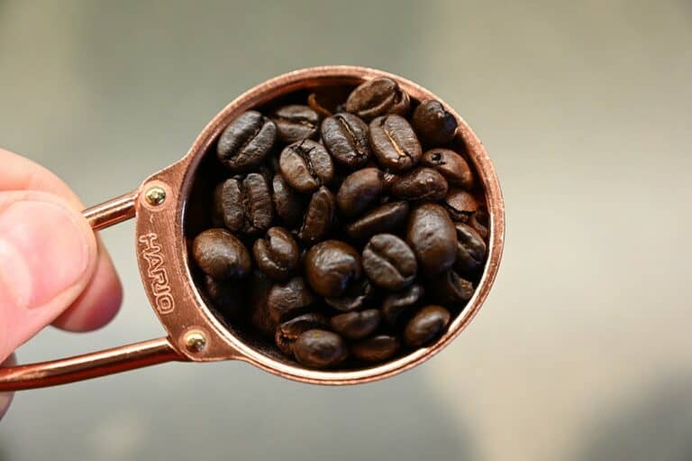 Costco Ethical Bean Coffee Lush Medium Dark Roast Review Costcuisine