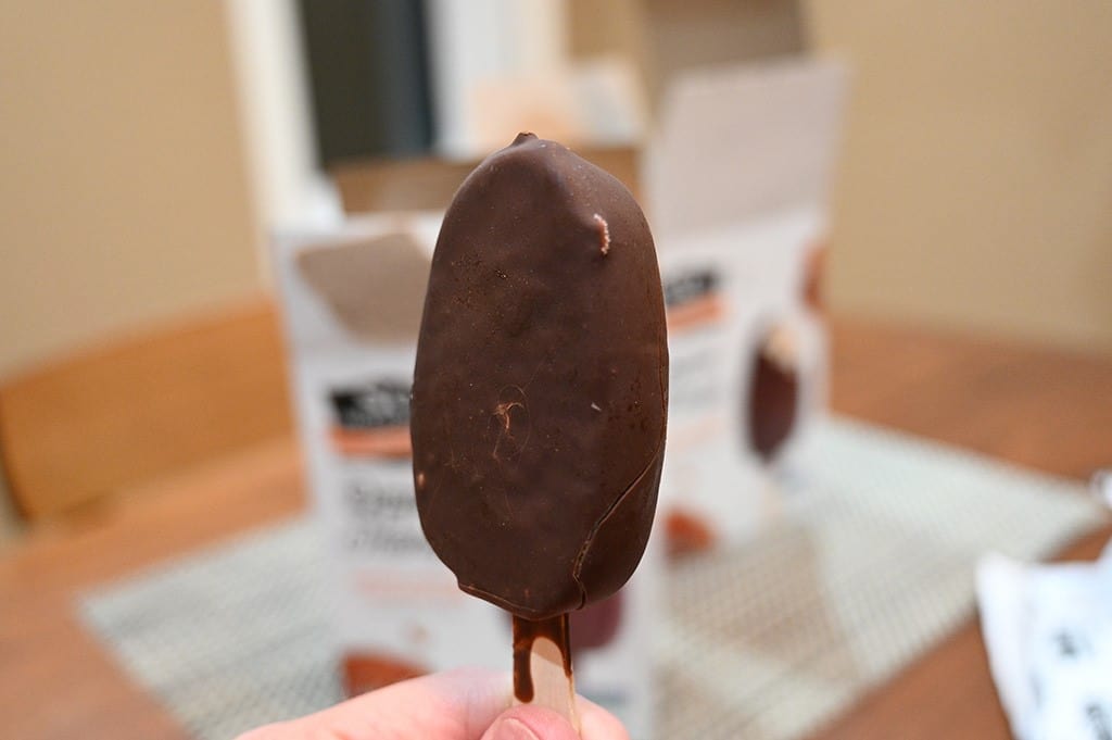 Costco So Delicious Dipped Salted Caramel Frozen Dessert Bars