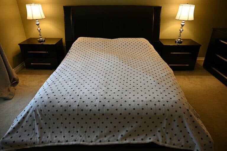 Costco Kate Spade Blanket Review Costcuisine