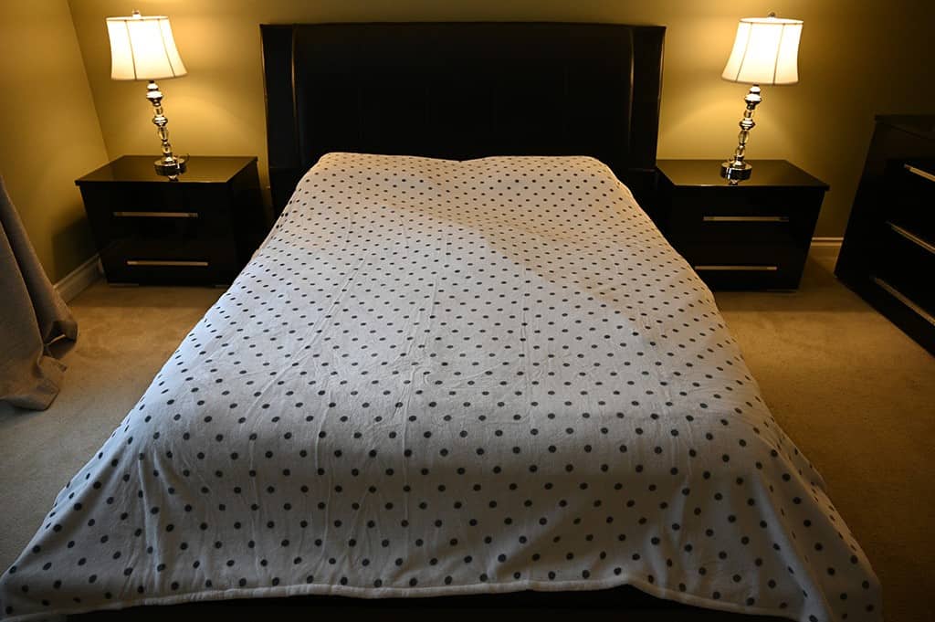 Costco Kate Spade Blanket