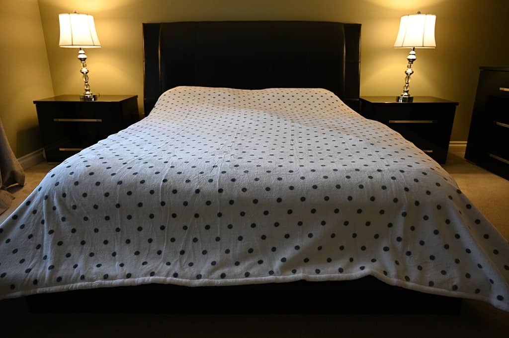 Costco Kate Spade Blanket Review - Costcuisine