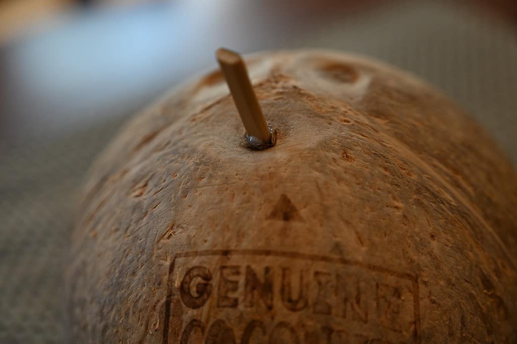 Costco Genuine Coconut Drink & Eat Orgnanic Fresh Coconut 