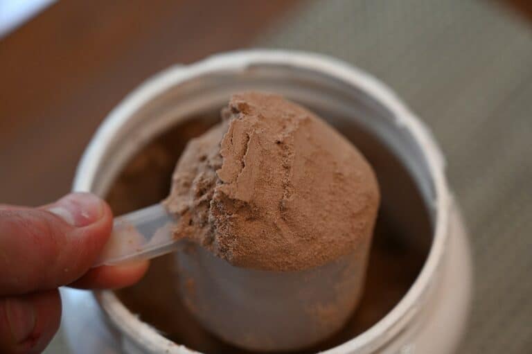 Costco Leanfit Organic PlantBased Chocolate Protein Review Costcuisine