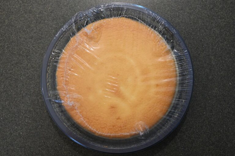 Costco Delcato Japanese Style Cheesecake Review Costcuisine