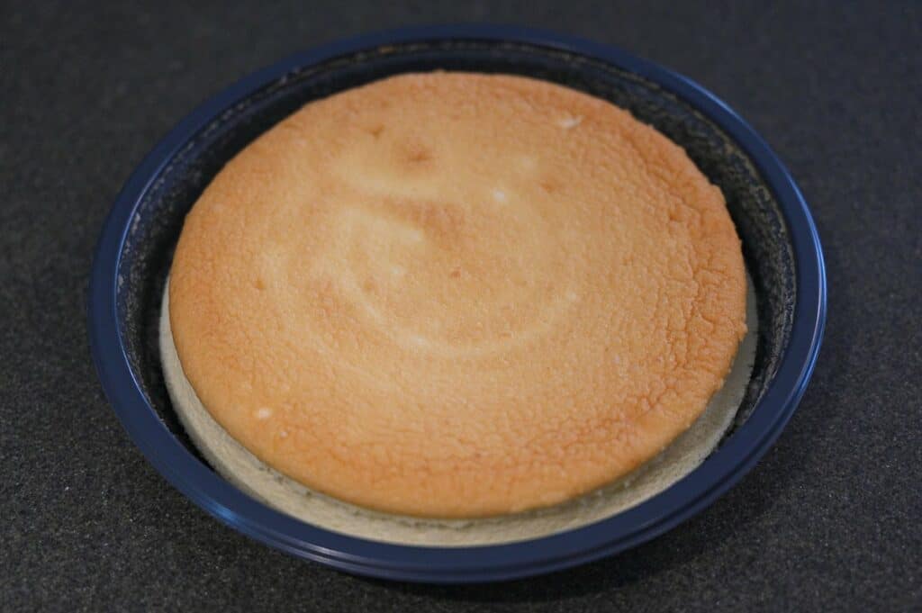 Costco Delcato Japanese Style Cheesecake after defrosting 