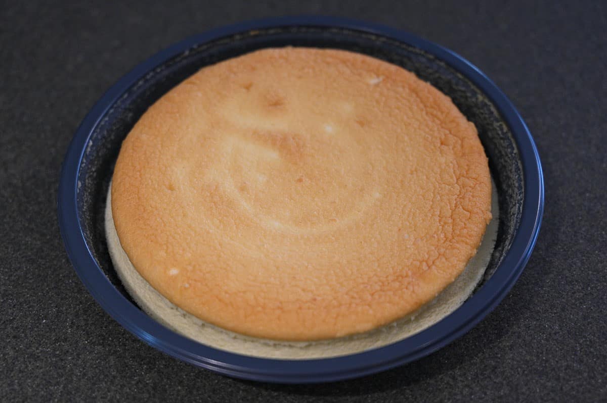 Costco Delcato Japanese Style Cheesecake Review Costcuisine