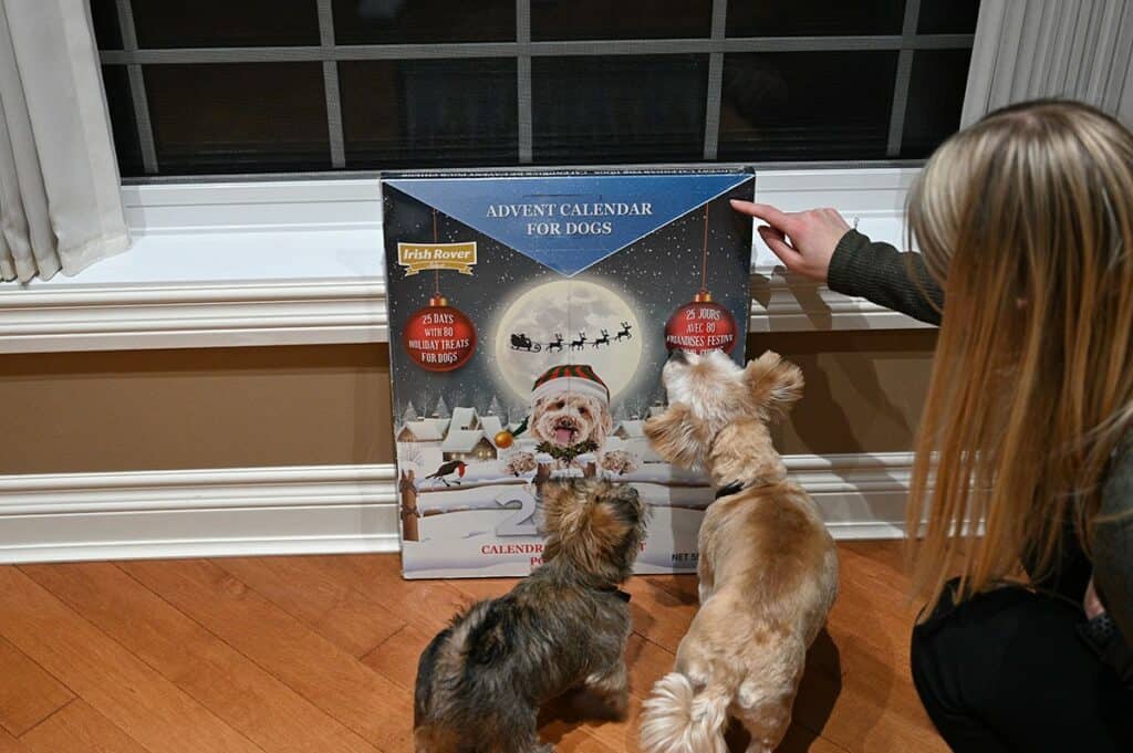 Costco Irish Rover Dog Advent Calendar 2021 dogs in front of Costco dog advent calendar