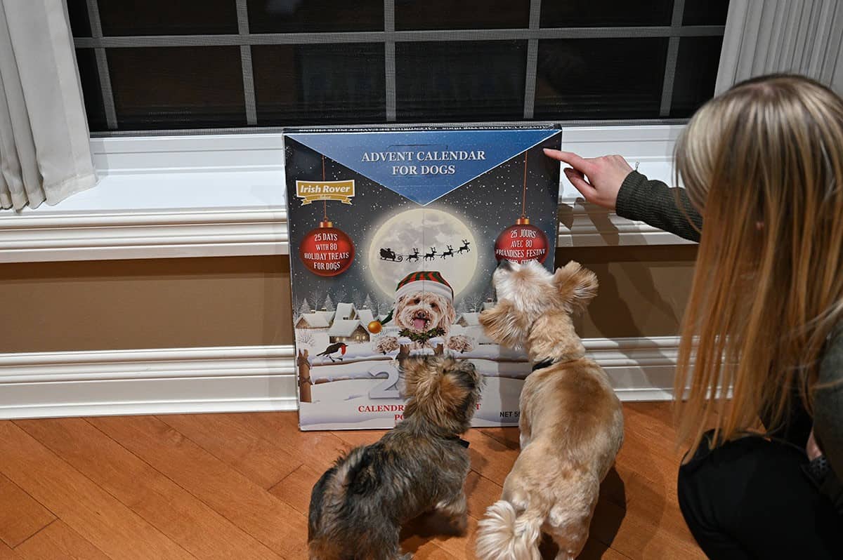 Costco Irish Rover Dog Advent Calendar 2021 Review Costcuisine