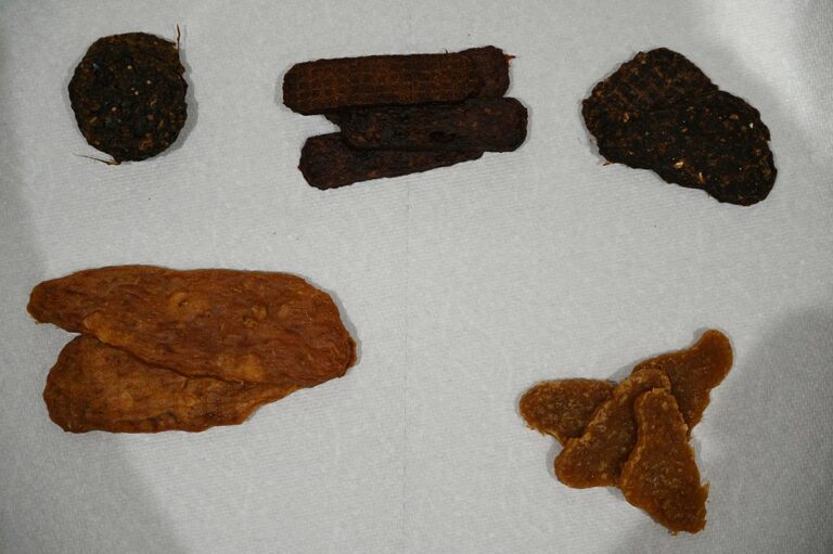 Irish Rover Advent Calendar For Dogs 