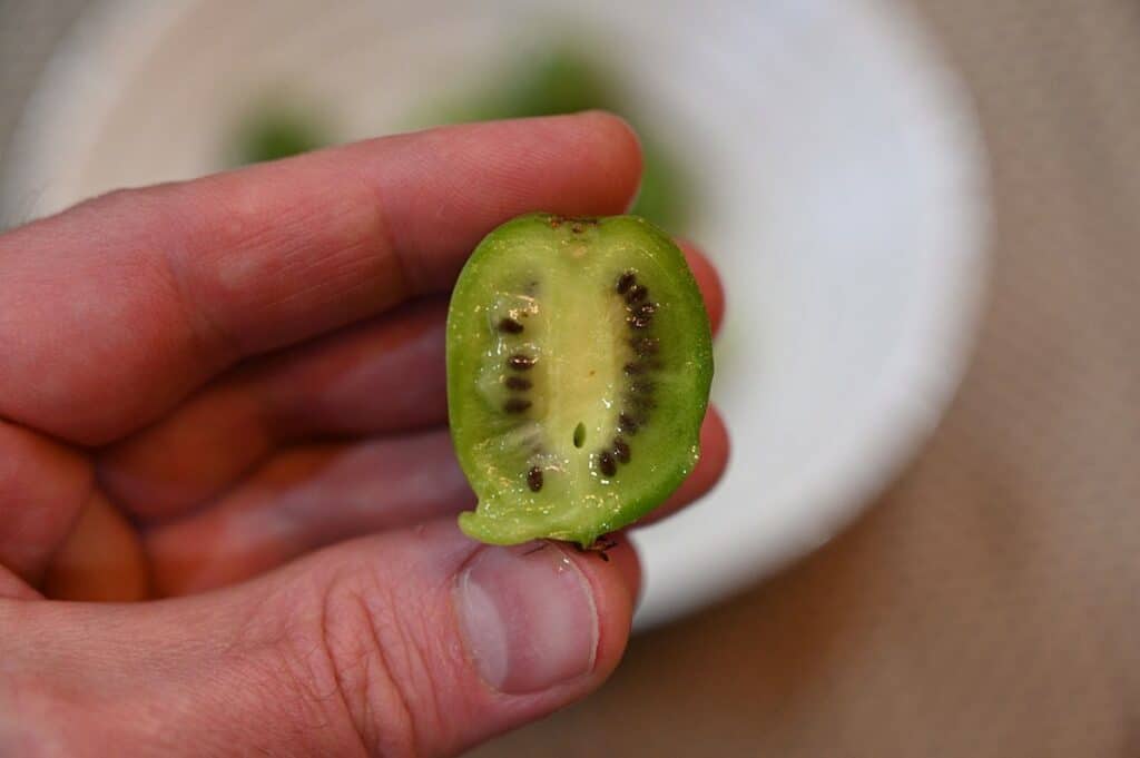 Costco HBF Kiwi Berries bit into 