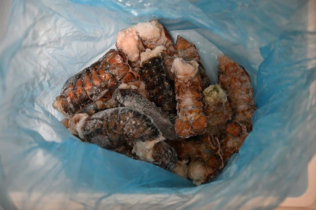 Image of the box of Costco Seacore Frozen Lobster Tails frozen in the box they come in with the lid off, Top down image so you see all the lobster tails. 