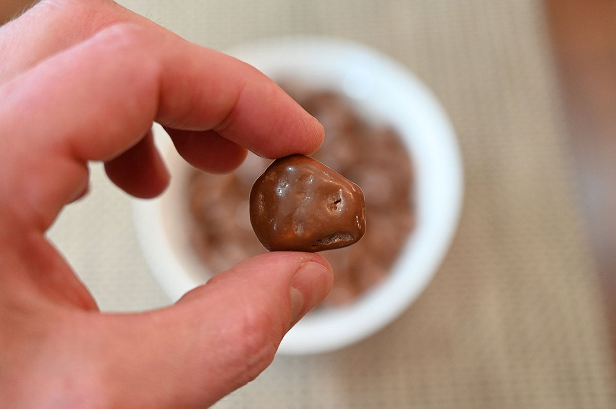 Closeup image of one Costco Waterbridge Sponge Toffee Bite./