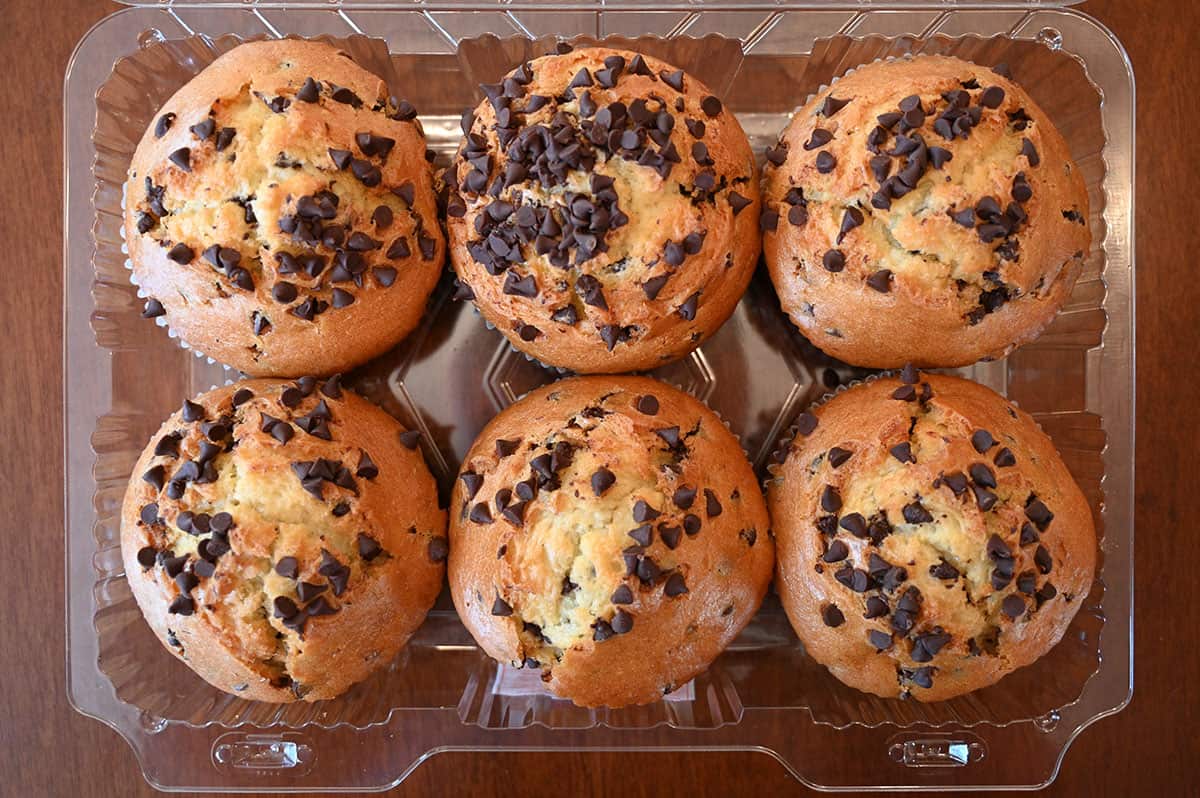 Top down image of the Costco chocolate chip muffins with the lid off.