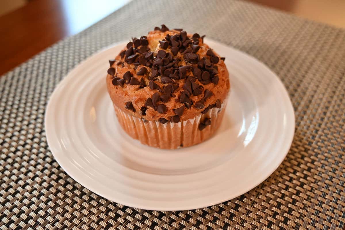 Image of one chocolate chip muffin on a plate.
