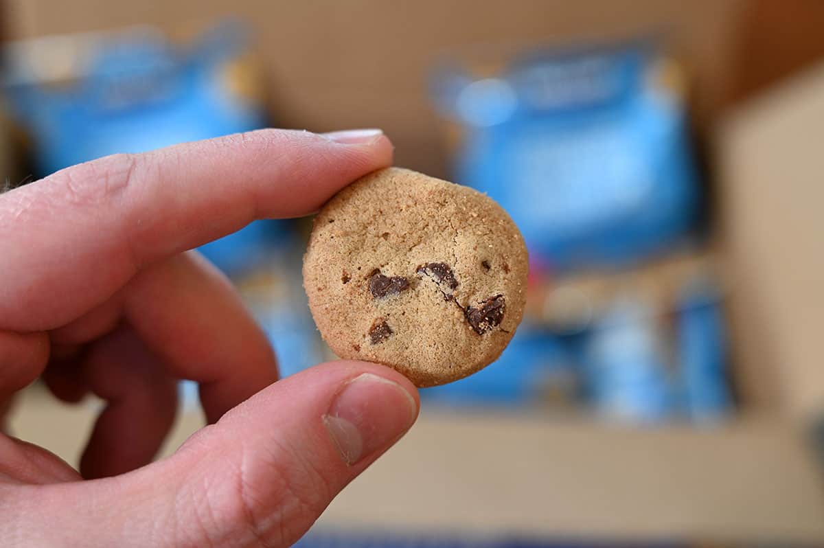 Closeup image of one Costco Kirkland Signature Mini Cookie with the box of cookie pouches faded in the background.