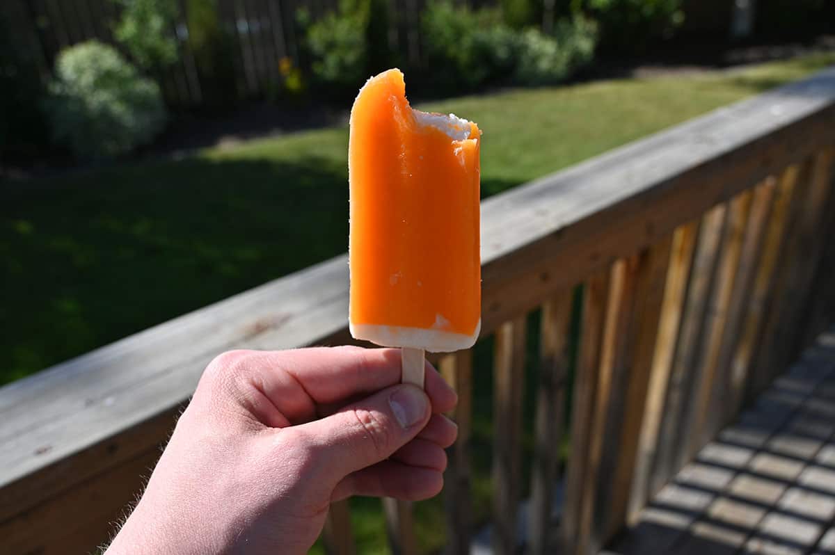 Orange creamsicle image, outside in a backyard.