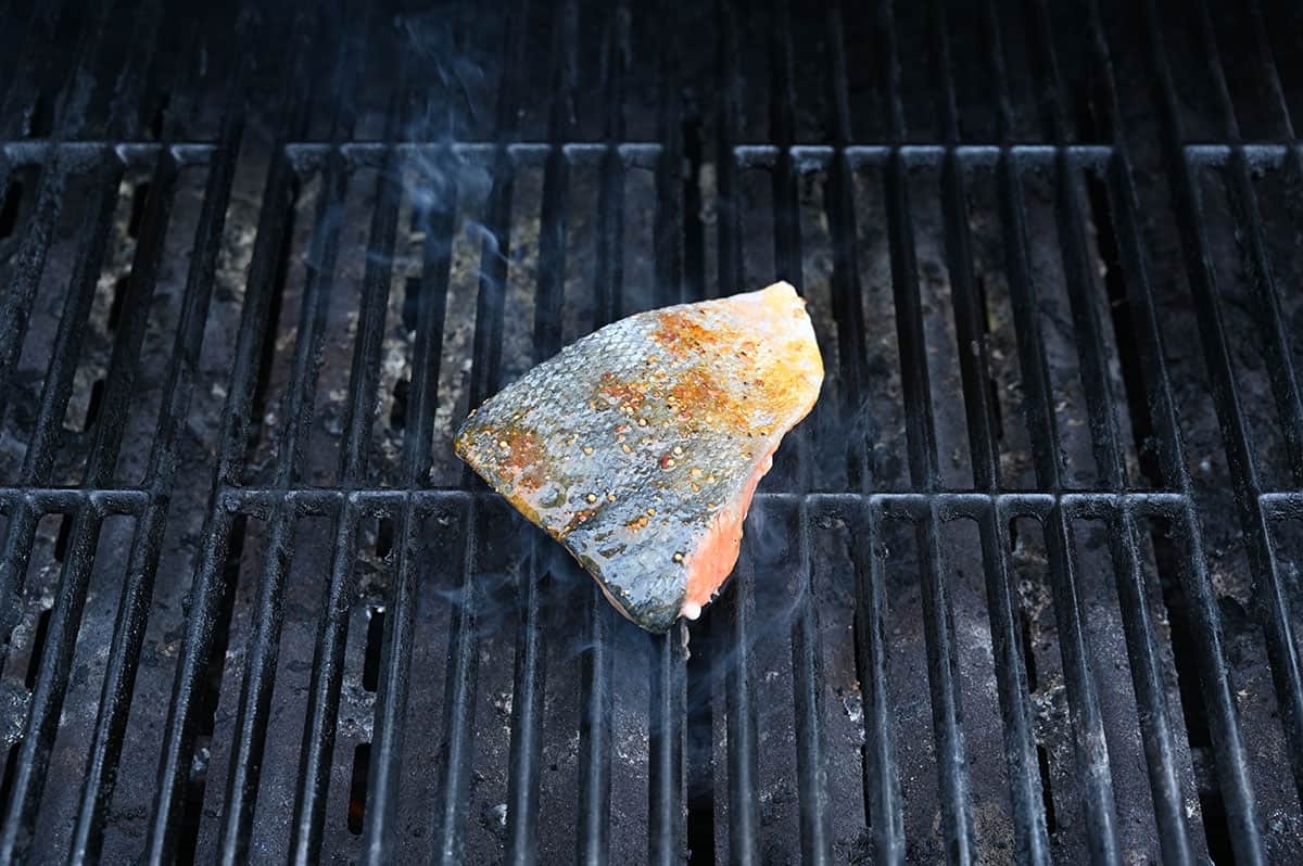 Image of the salmon on the grill, skin side up.