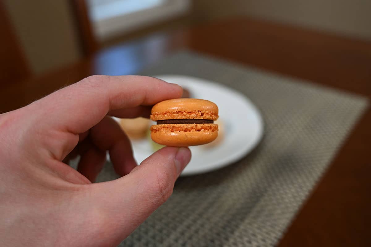 Closeup image of one chocolate orange flavor macaron.