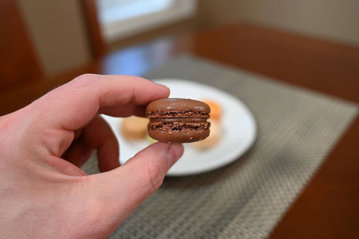Closeup image of one chocolate hazelnut flavor macaron.