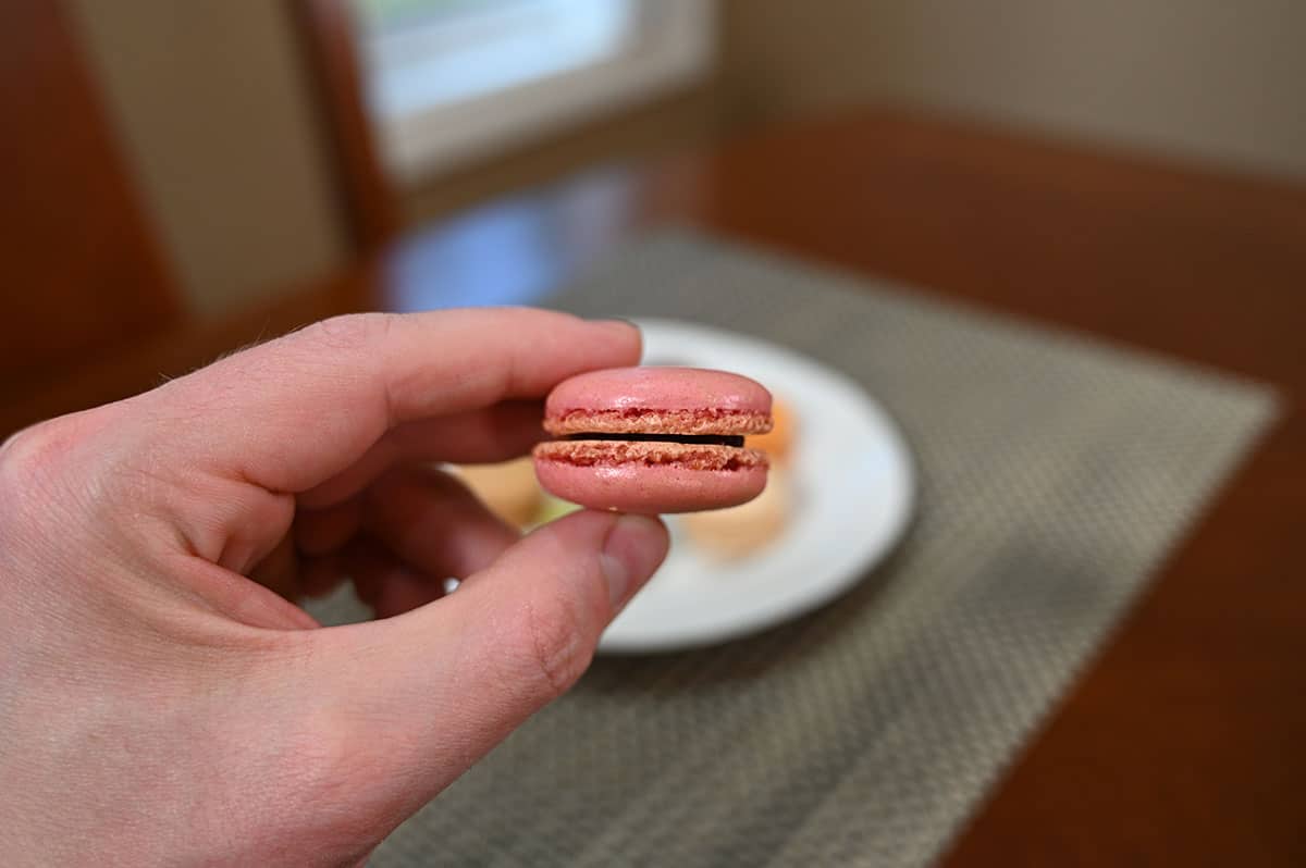 Closeup image of one raspberry flavor macaron.