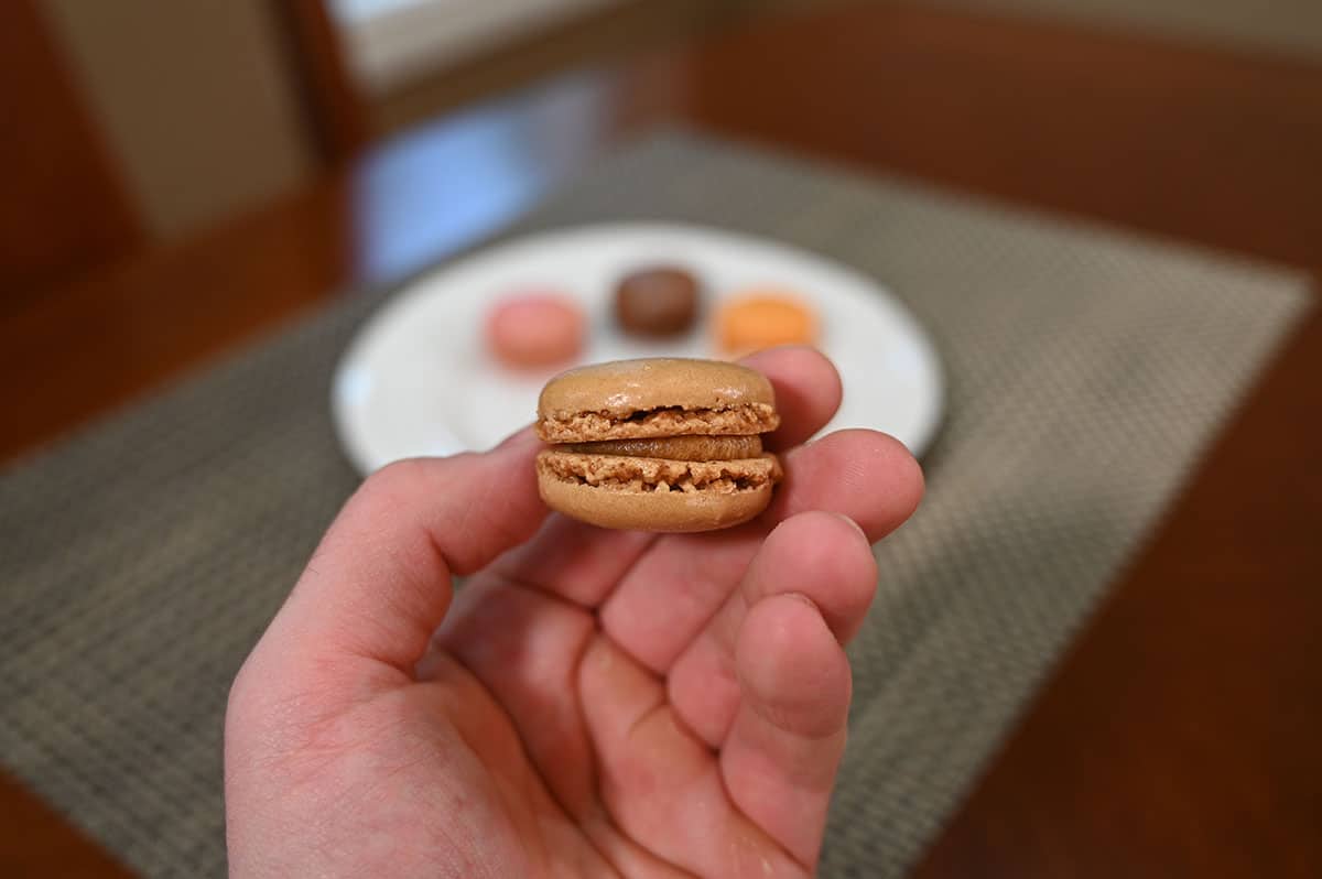 Close up image of one salted caramel macaron.