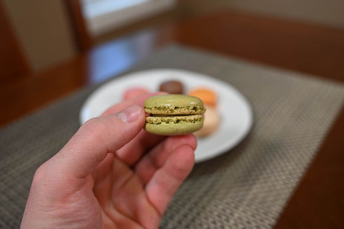 Closeup image of one pistachio flavor macaron.