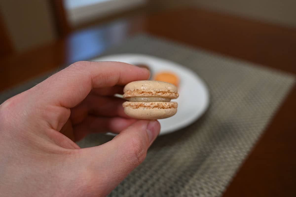 Closeup image of one vanilla flavor macaron.