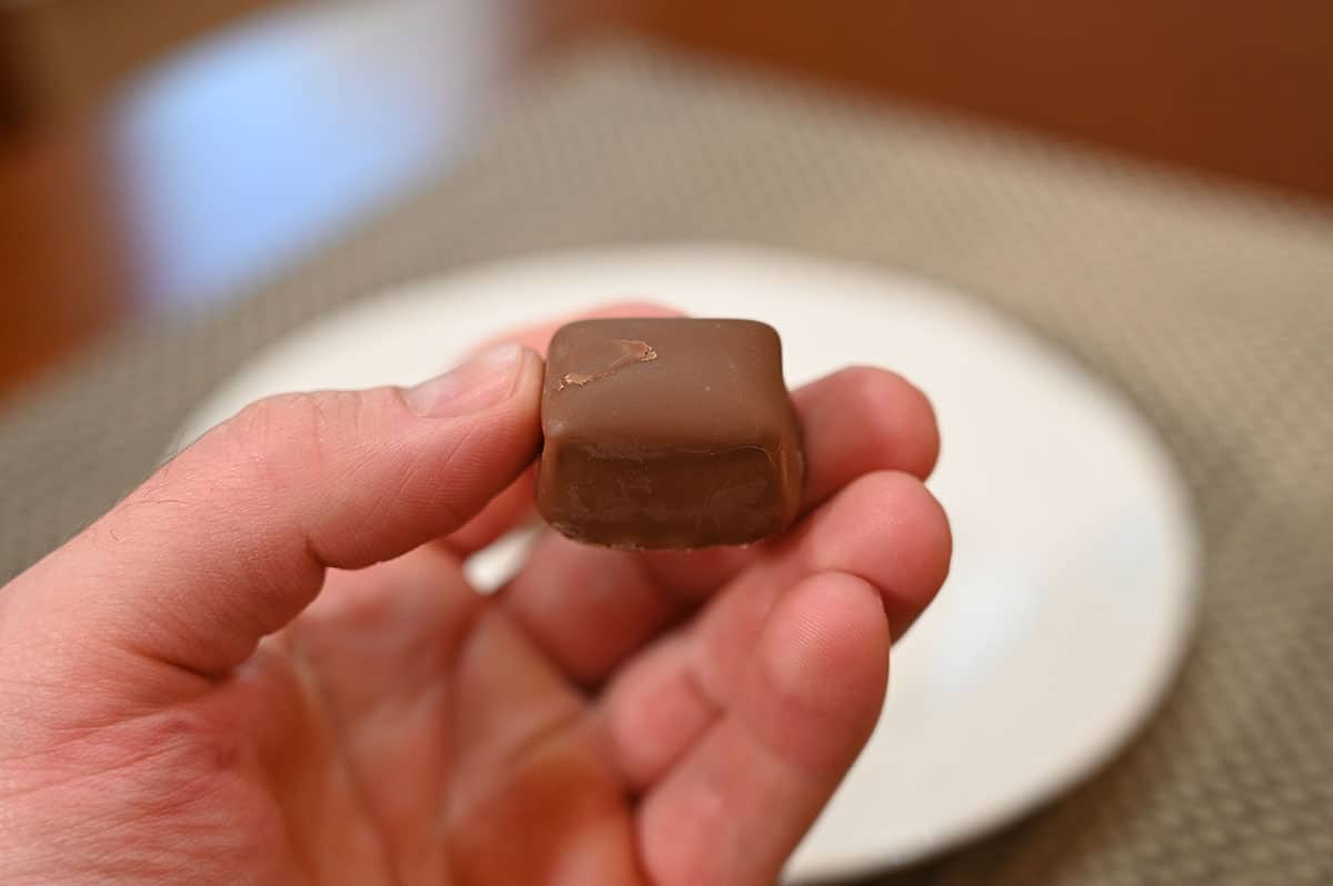 Closeup image of a hand holding one mint milk chocolate truffle unwrapped close to the camera.