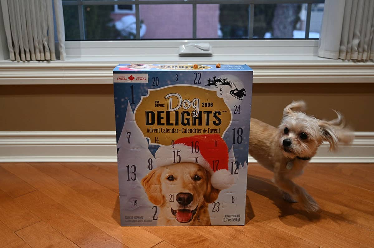 Costco Dog Delights Advent Calendar Review Costcuisine