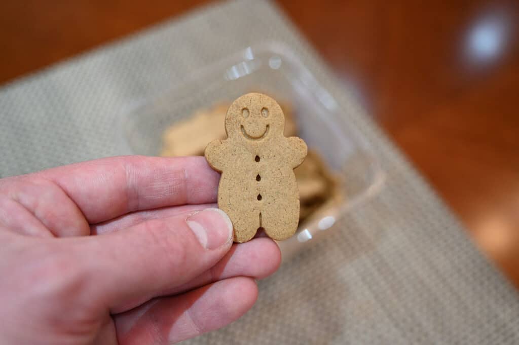 Closeup image of a hand holding on gingerbread man cookie.