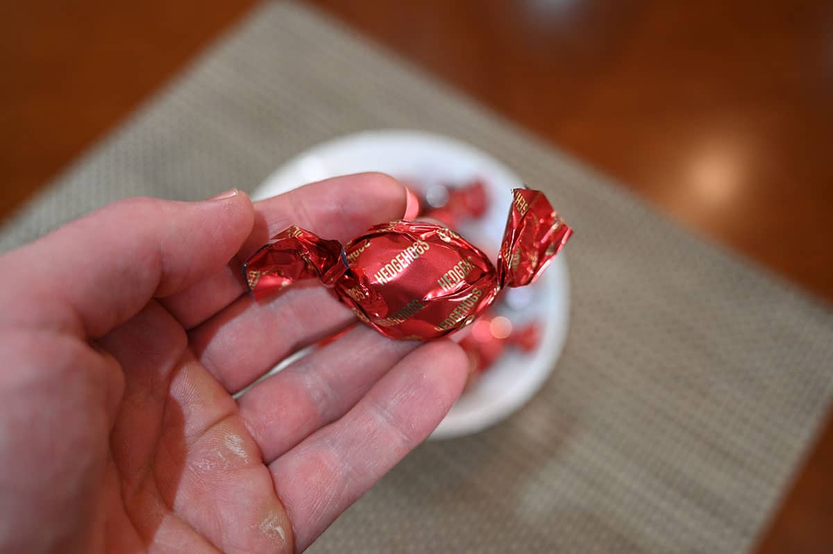 Closeup image of one hedgehog chocolate in the wrapper.