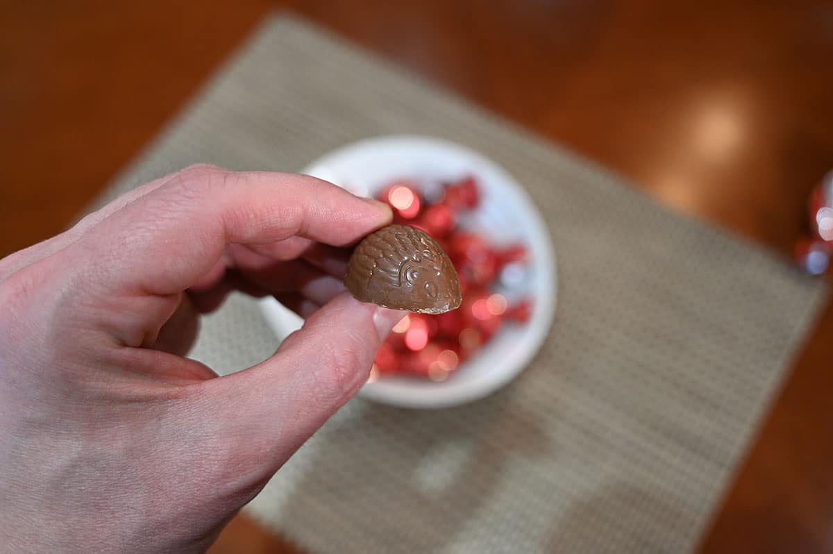 Closeup image of a hand holding one hedgehog truffle.