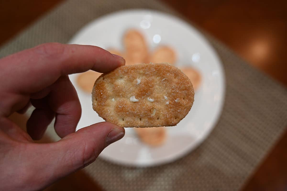 Closeup image of a hand holding one pastry cookie.