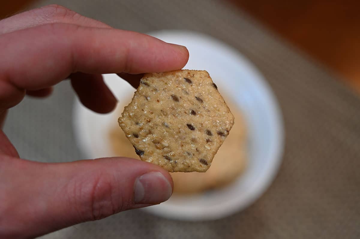 Closeup image of a hand holding one cracker.