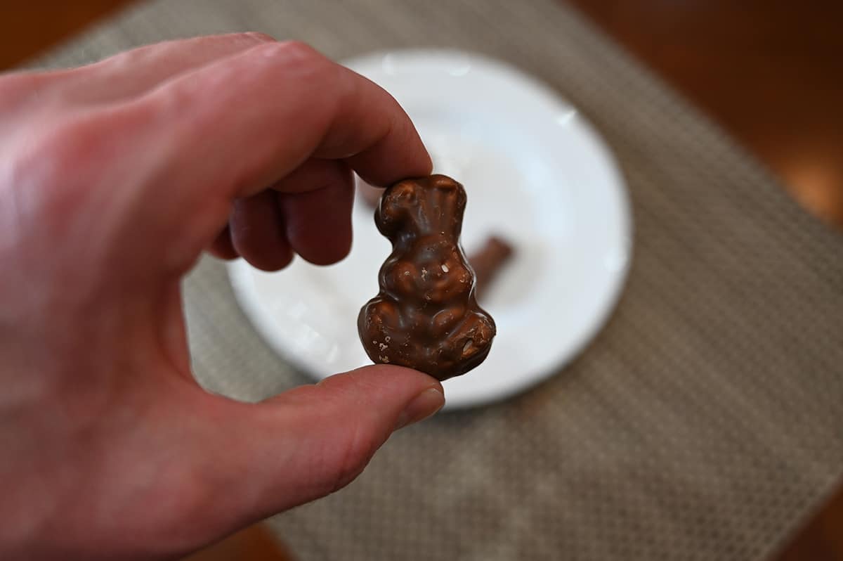 Closeup image of a hand holding one bunny close to the camera.