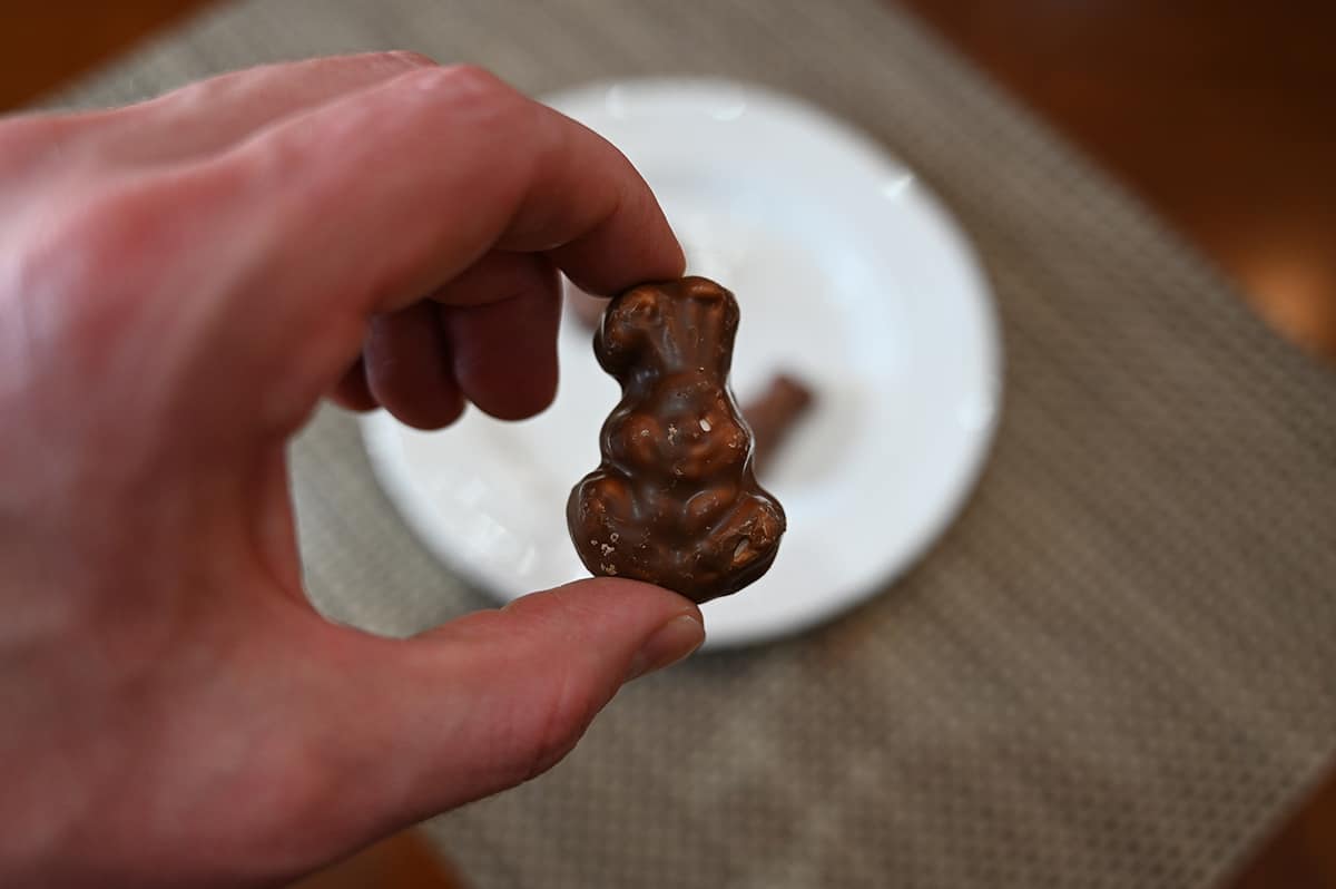 Closeup image of a hand holding one bunny close to the camera.