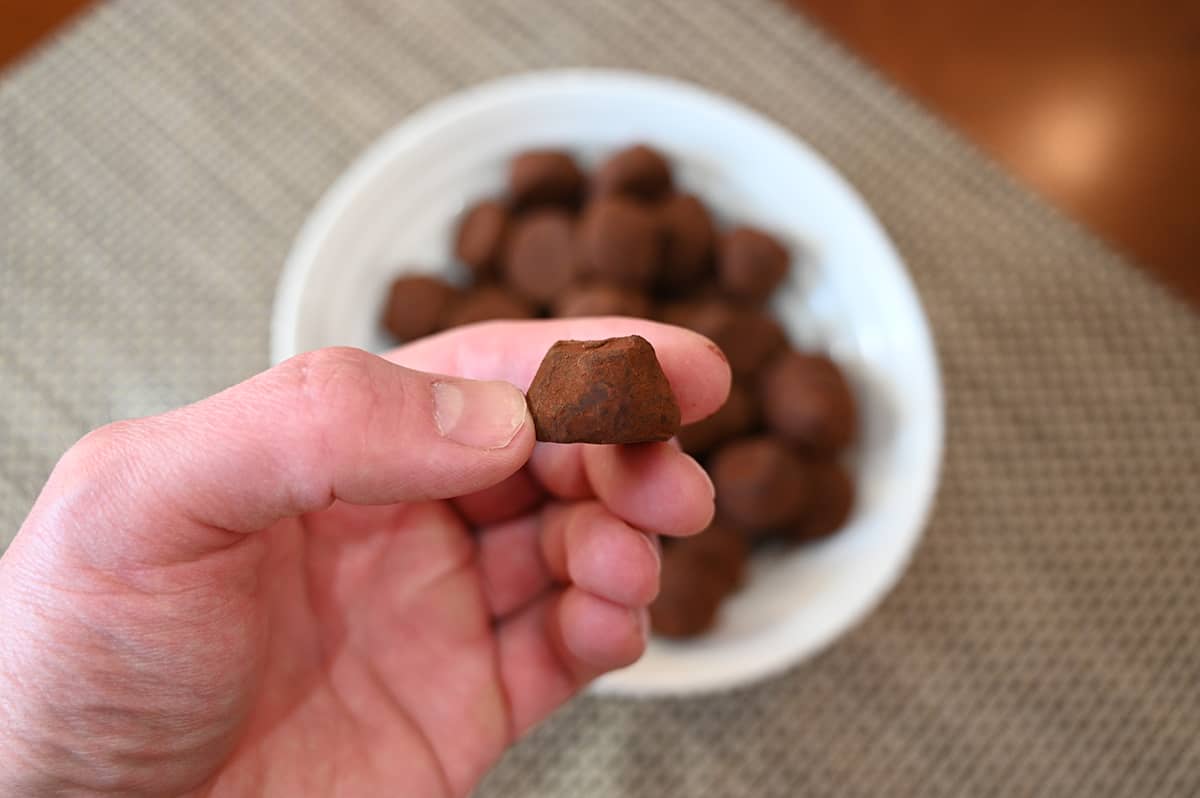 Closeup image of a hand holding one truffle and a bowl of truffles in the background.